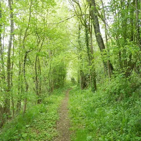 De Campagne - Vue Jardin- Piscine 아파트 Sajas