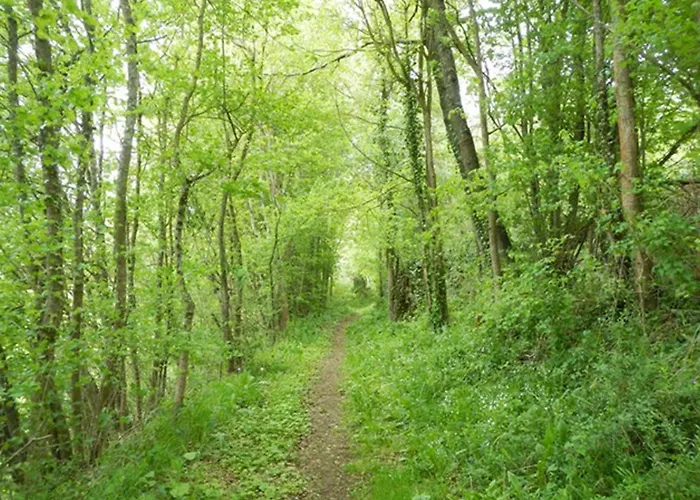 De Campagne - Vue Jardin- Piscine Lägenhet Sajas