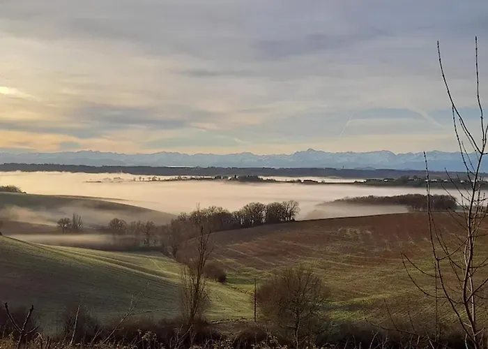 De Campagne - Vue Jardin- Piscine Sajas
